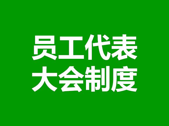 员工代表大会制度